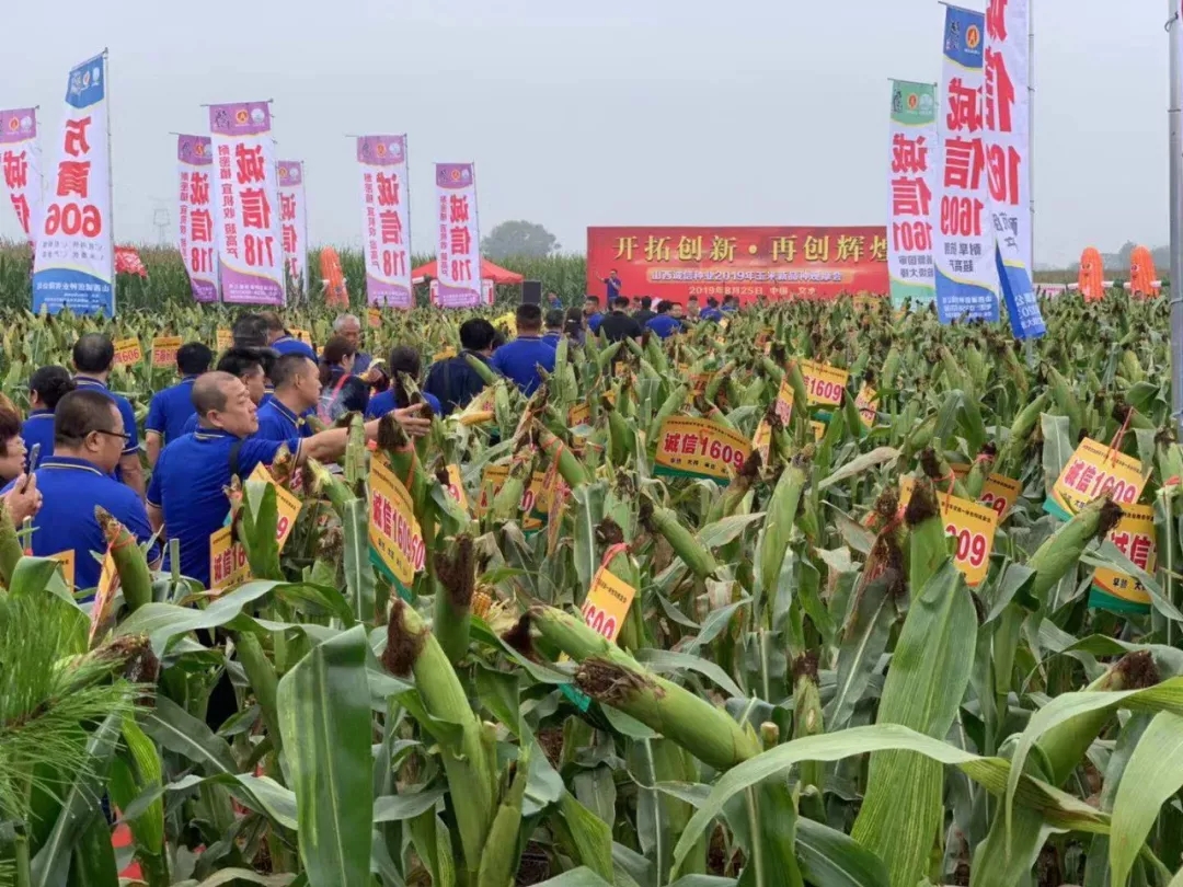 诚信向前|百年盛世总裁赵一沣出席诚信种业全国经销商营销峰会