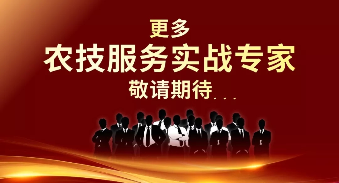 深圳千人大课:2020农技营销之战一次彻底讲清