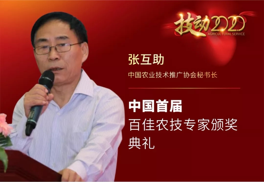 技动2020:不容错过的深圳千人大课!