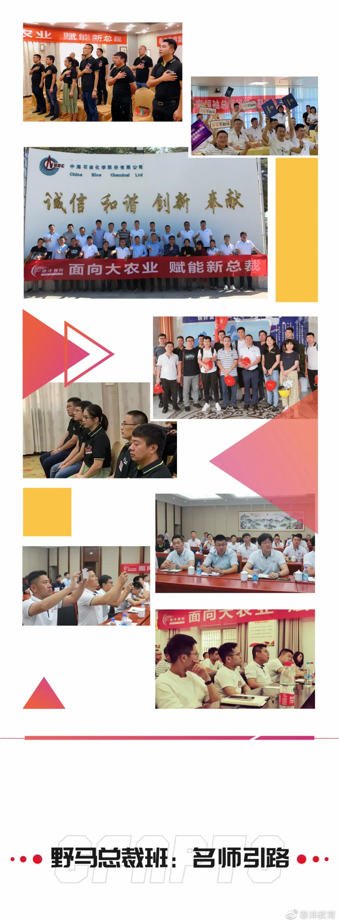 野马：那个只招80后的总裁班招生了