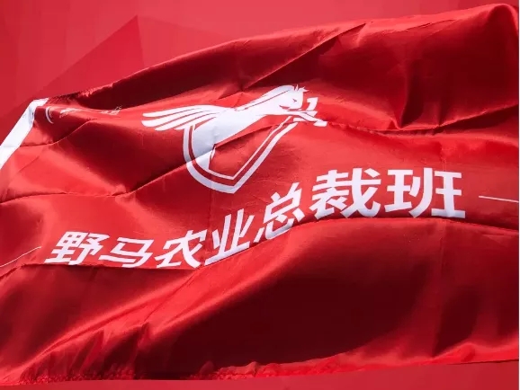 春沣四野：一起遇见最好的自己