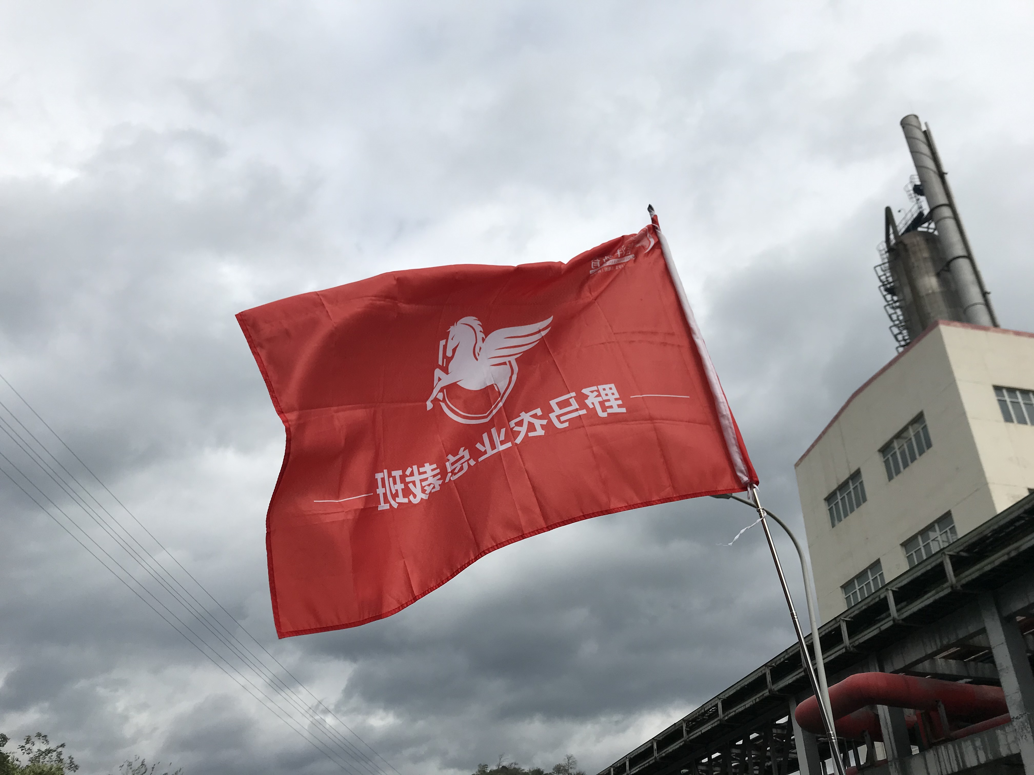 读万卷书,行万里路 | 春沣野马农业总裁班四期游学贵州磷化集团