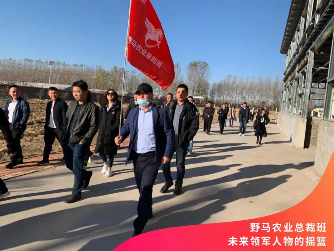 牛年第一招：那个只招80后的农业总裁班招生啦！