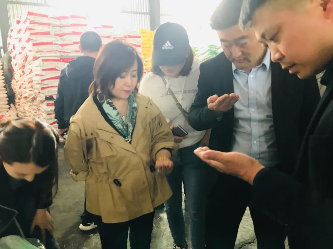 学习正当时丨春沣教育野马农业总裁班走进山西金兰化工