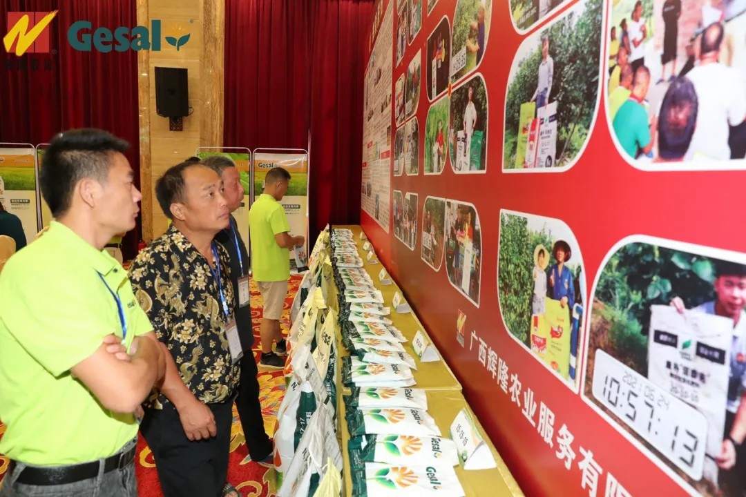 春沣教育名誉院长赵一沣应邀出席辉隆新品牌发布会并做专题培训