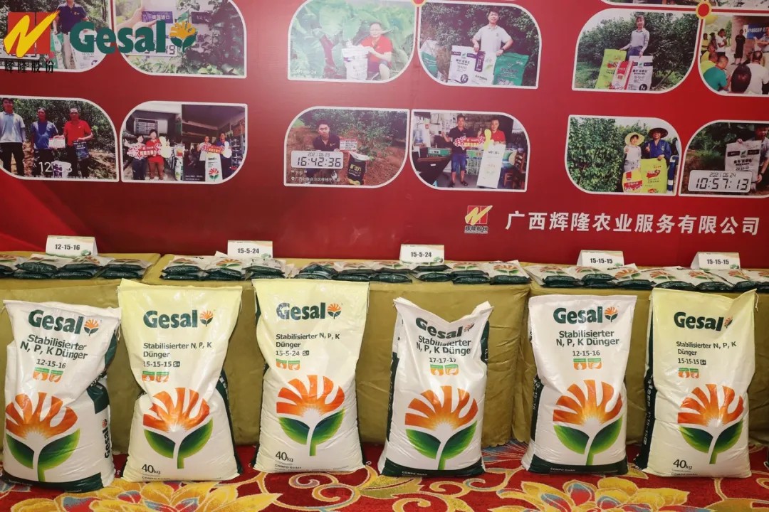 春沣教育名誉院长赵一沣应邀出席辉隆新品牌发布会并做专题培训