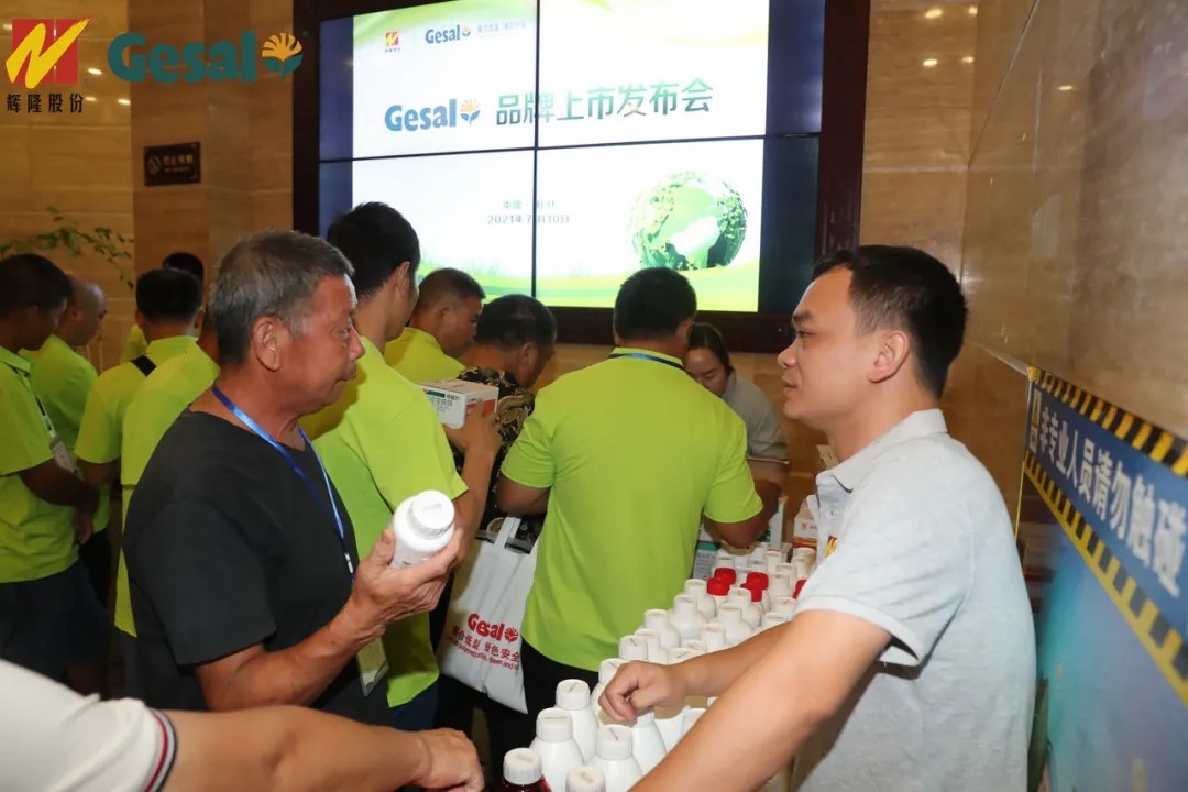 春沣教育名誉院长赵一沣应邀出席辉隆新品牌发布会并做专题培训