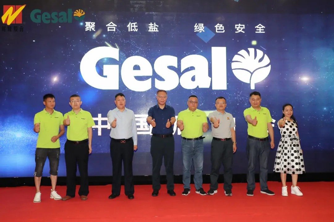 春沣教育名誉院长赵一沣应邀出席辉隆新品牌发布会并做专题培训