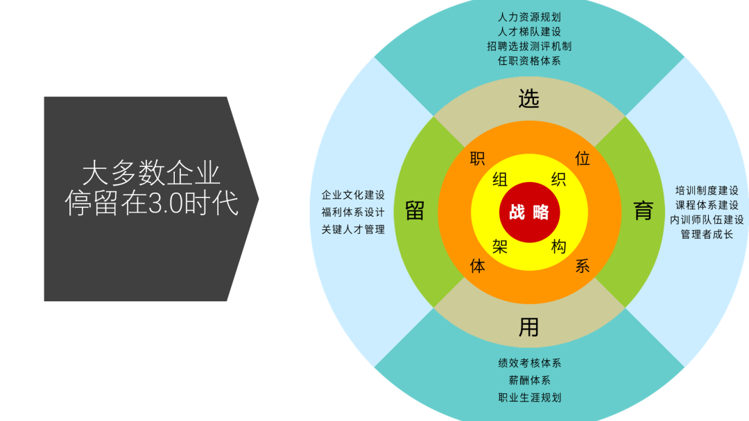 人才管理就是“选 育 用 留”？老板，时代变了