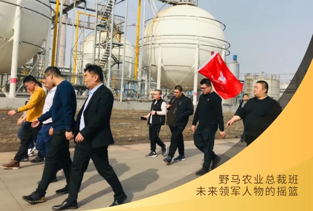 快来：春沣野马农业总裁班第6期7月开学