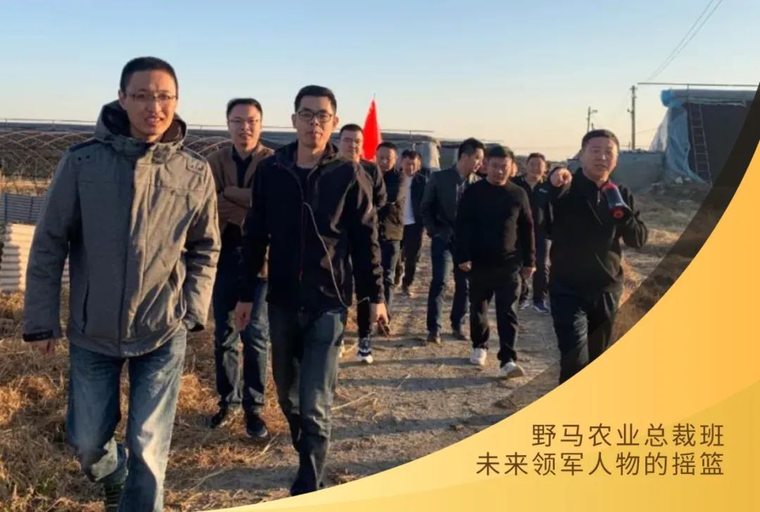 快来：春沣野马农业总裁班第6期7月开学