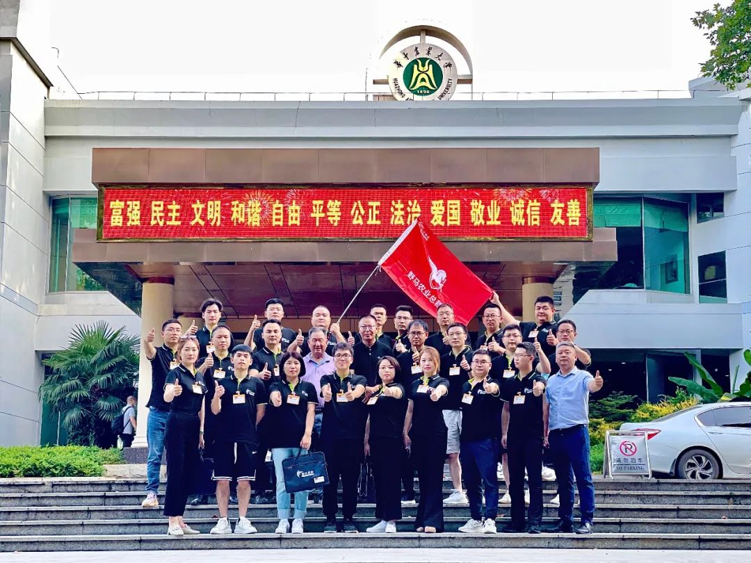 图说野马｜产品打造战略与总裁思维的双重赋能