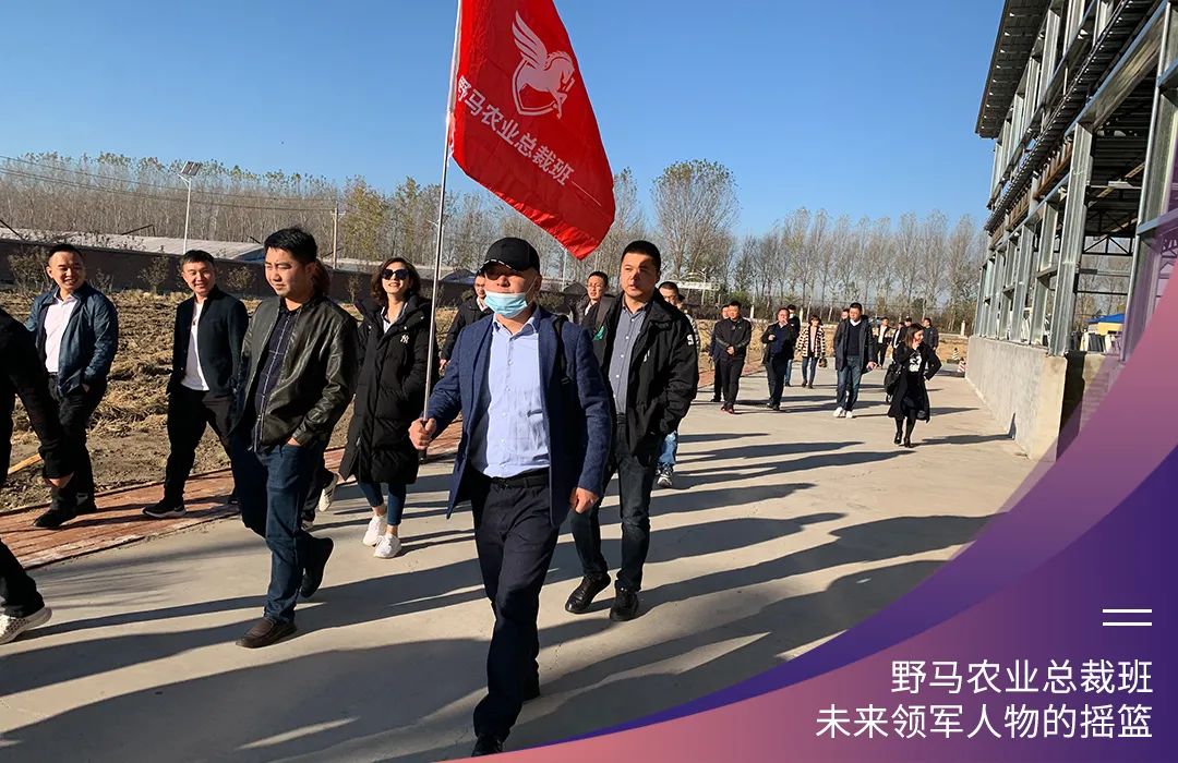 “七”待遇见你：春沣野马农业总裁班第7期招生简章