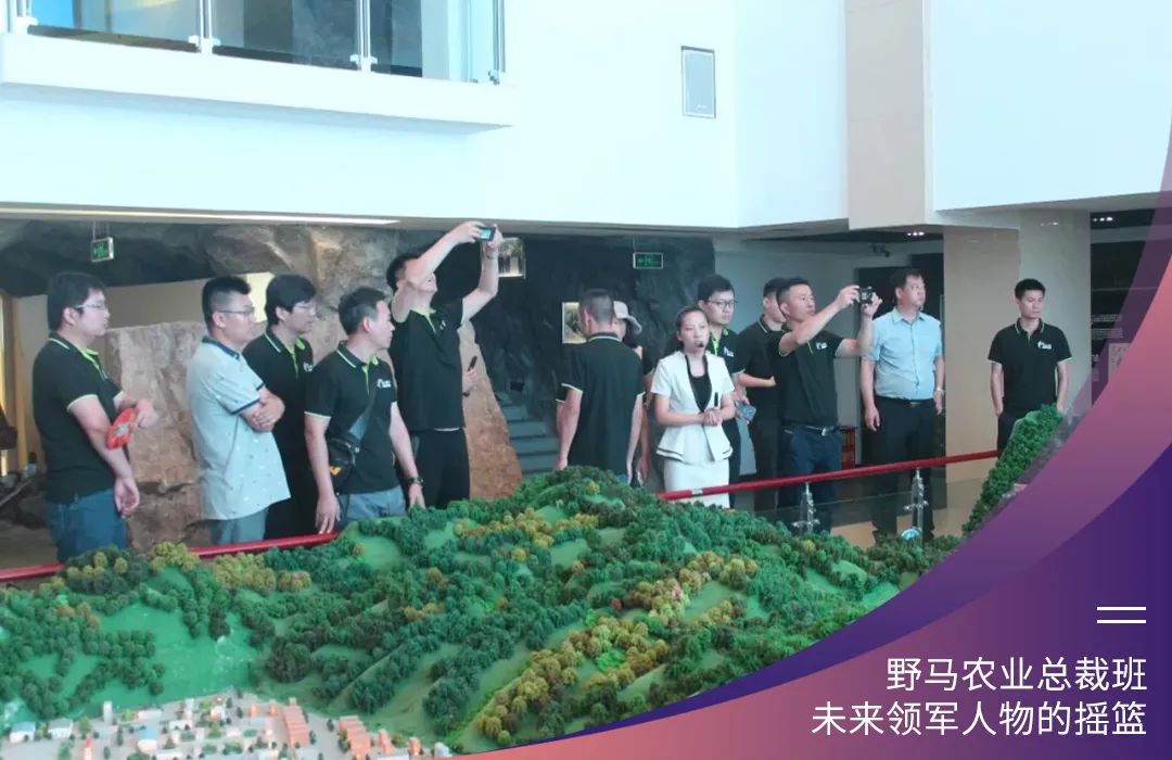 “七”待遇见你：春沣野马农业总裁班第7期招生简章