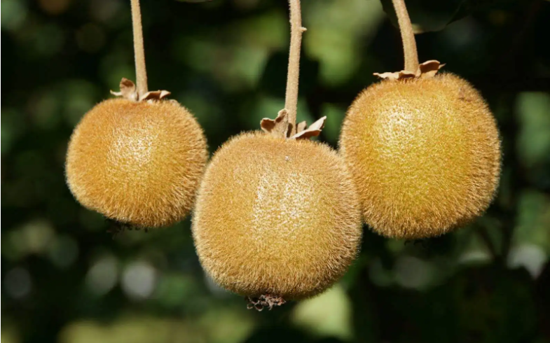 特肥渠道开发：如何快速找到你的客户？