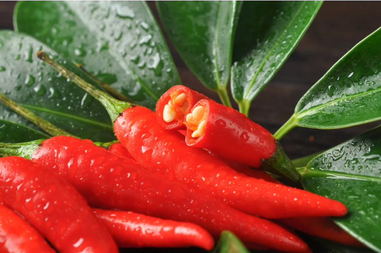 特肥渠道开发：如何快速找到你的客户？