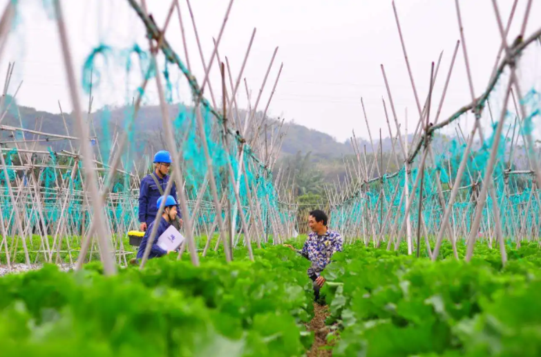开发特肥客户，要找“四有”新人！