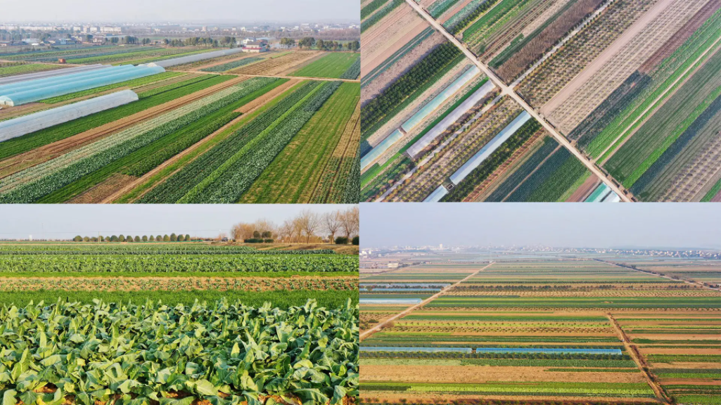 开发特肥客户，要找“四有”新人！