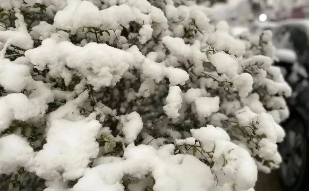 瑞雪迎客：春沣院长赵一沣出席亿丰渠道联盟财富论坛