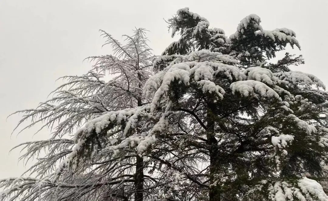 瑞雪迎客：春沣院长赵一沣出席亿丰渠道联盟财富论坛