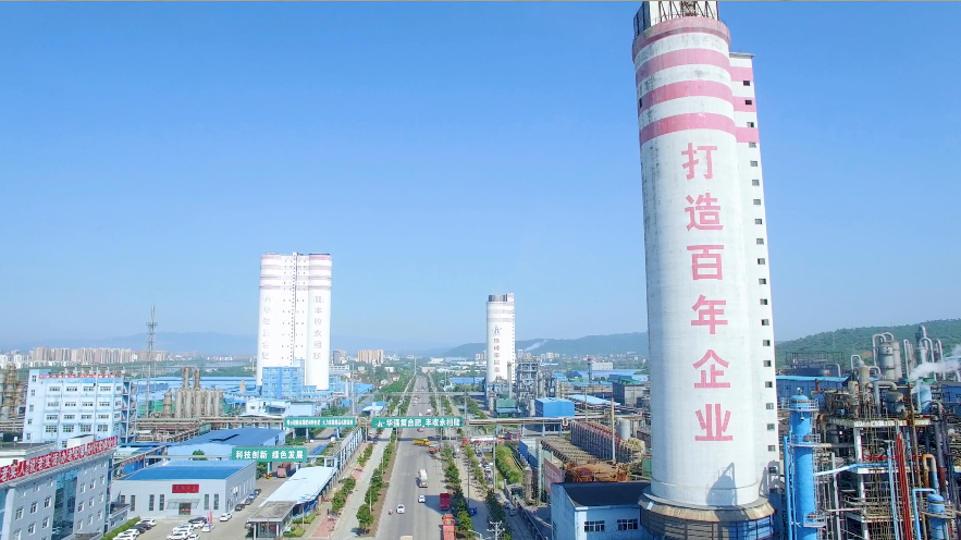 当阳约起：野马总裁班五六期游学华强化工