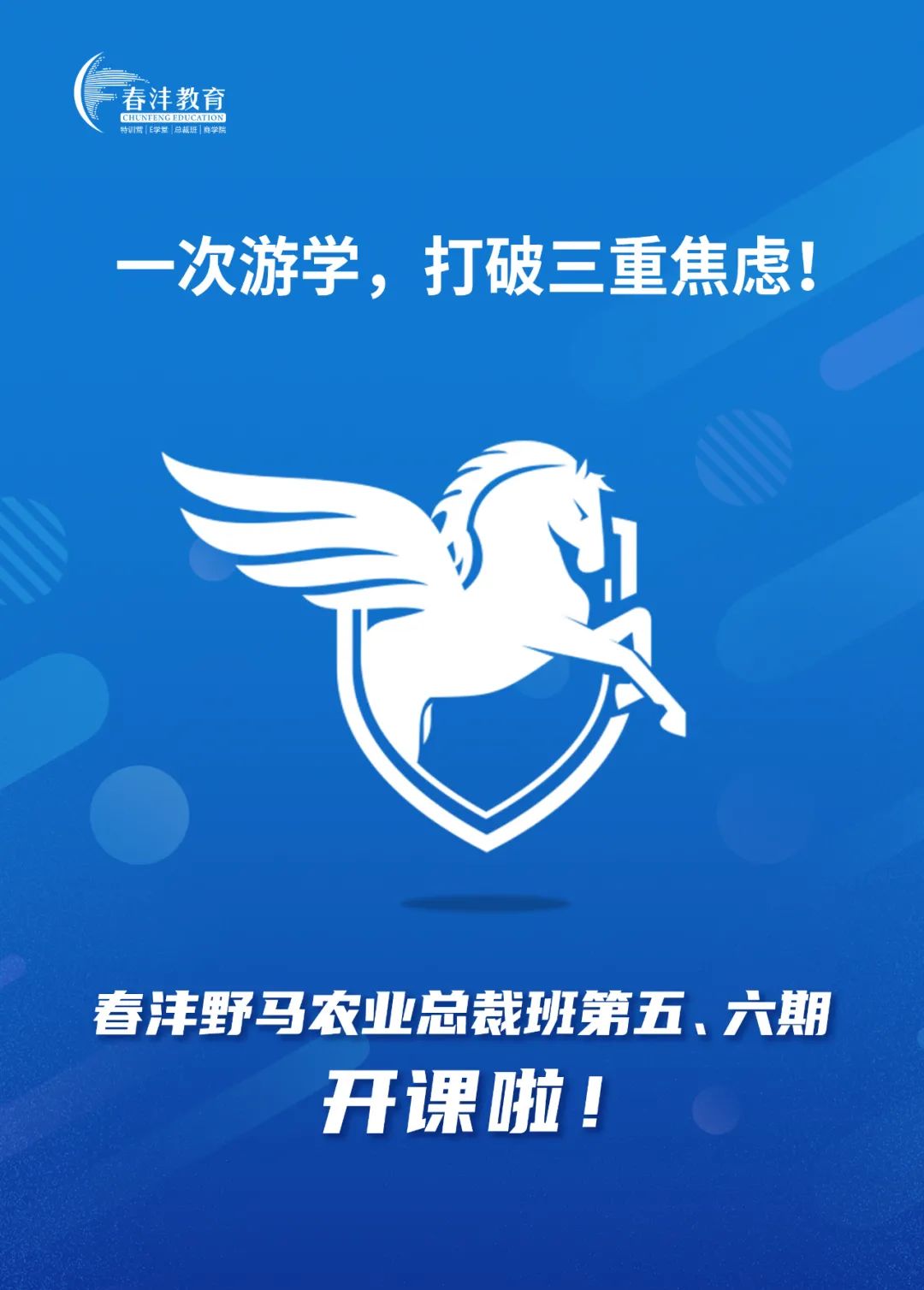 当阳约起：野马总裁班五六期游学华强化工