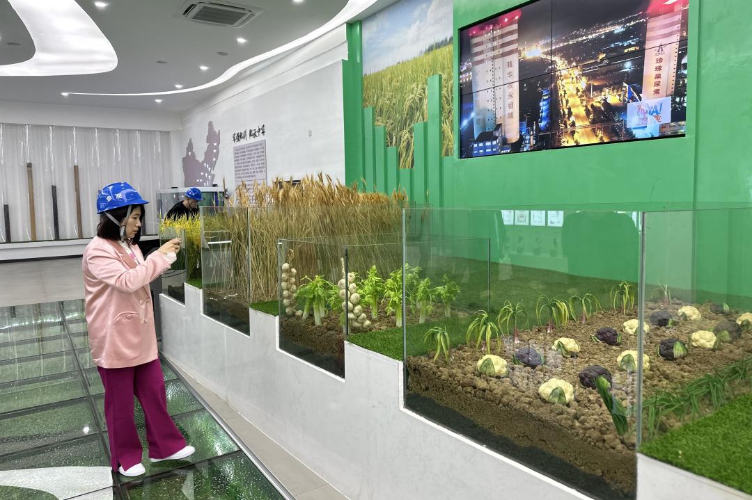 诗酒年华丨野马总裁班五六期游学华强化工