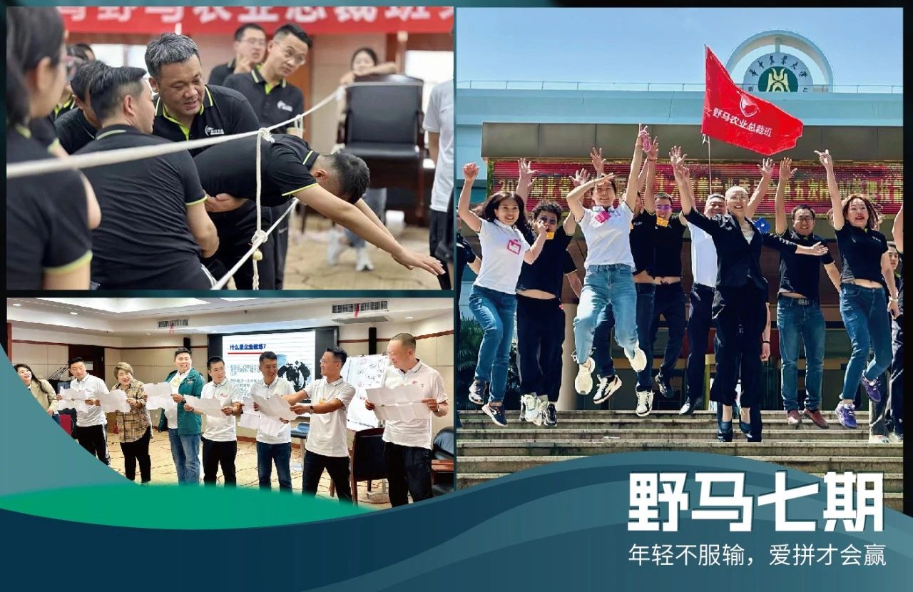 集合啦：野马农业总裁班1至7期商脉思享会