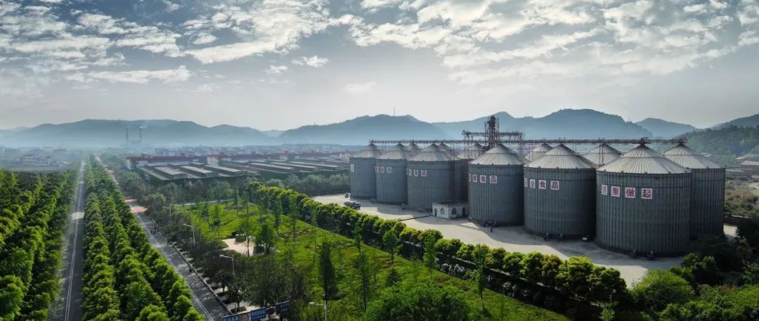 约起来：春沣野马总裁班游学四川美丰！