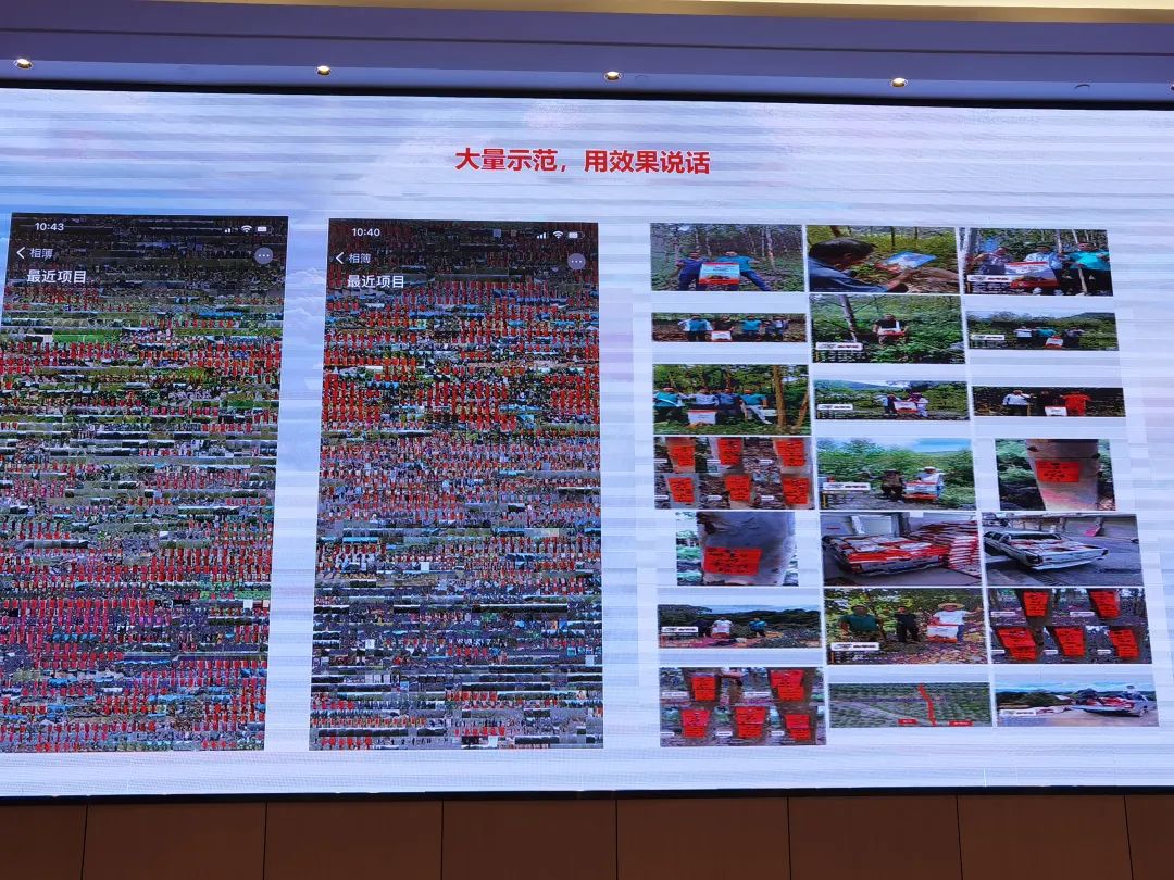 启市大吉 | 世耕·金考拉2023渠道赋能大会顺势聚力