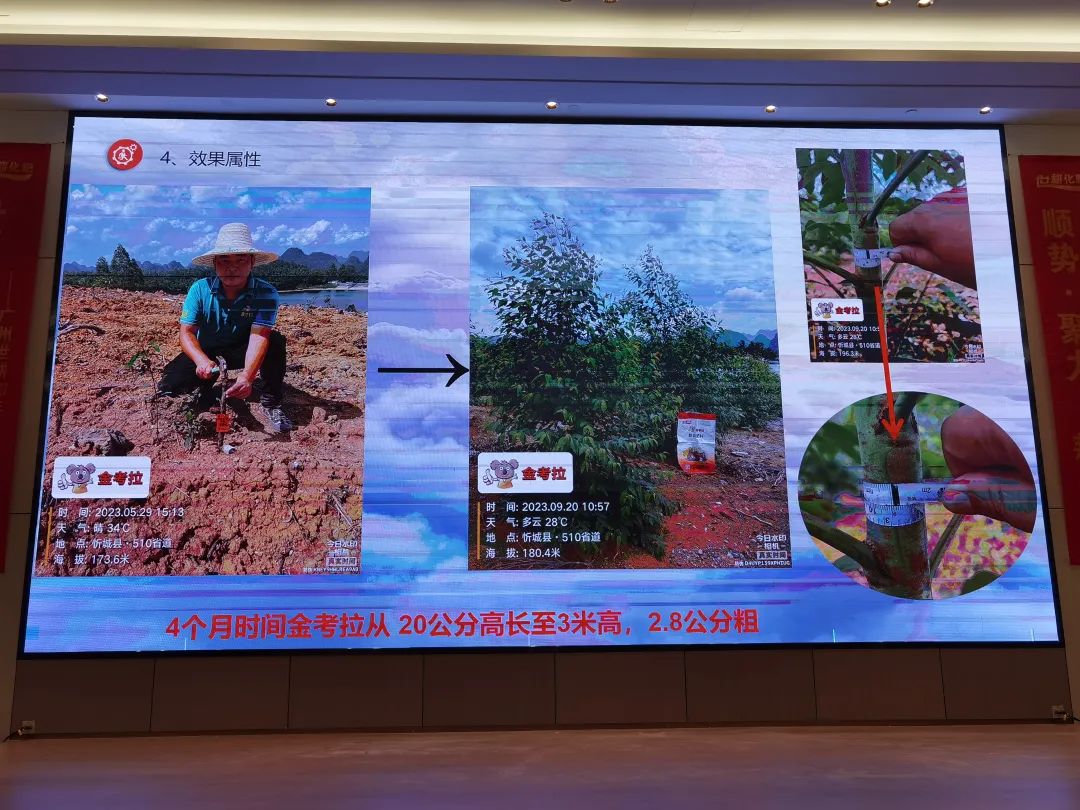 启市大吉 | 世耕·金考拉2023渠道赋能大会顺势聚力