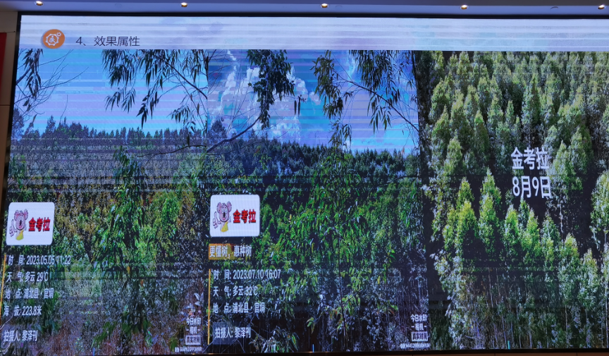 启市大吉 | 世耕·金考拉2023渠道赋能大会顺势聚力