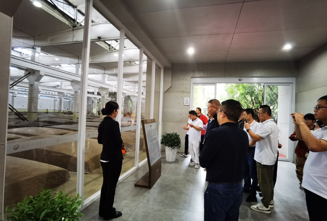 魅力美丰 诗酒舍得丨野马总裁班五六七期学员游学四川美丰