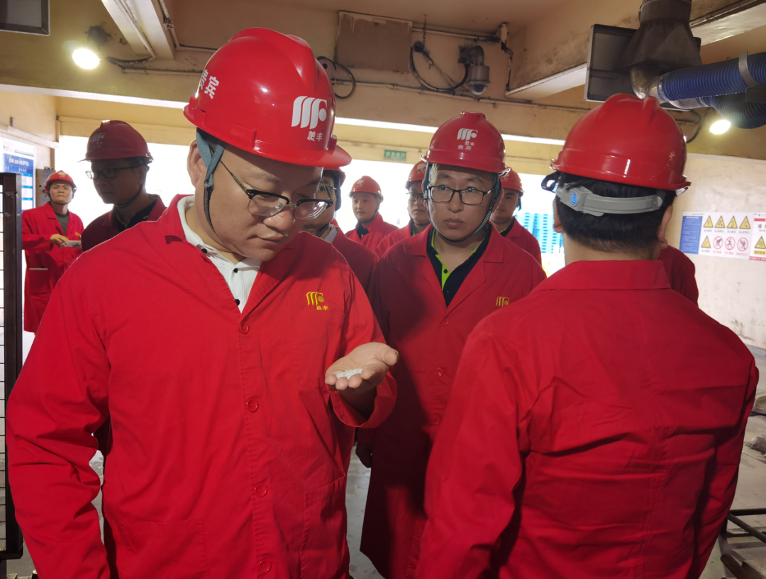 魅力美丰 诗酒舍得丨野马总裁班五六七期学员游学四川美丰