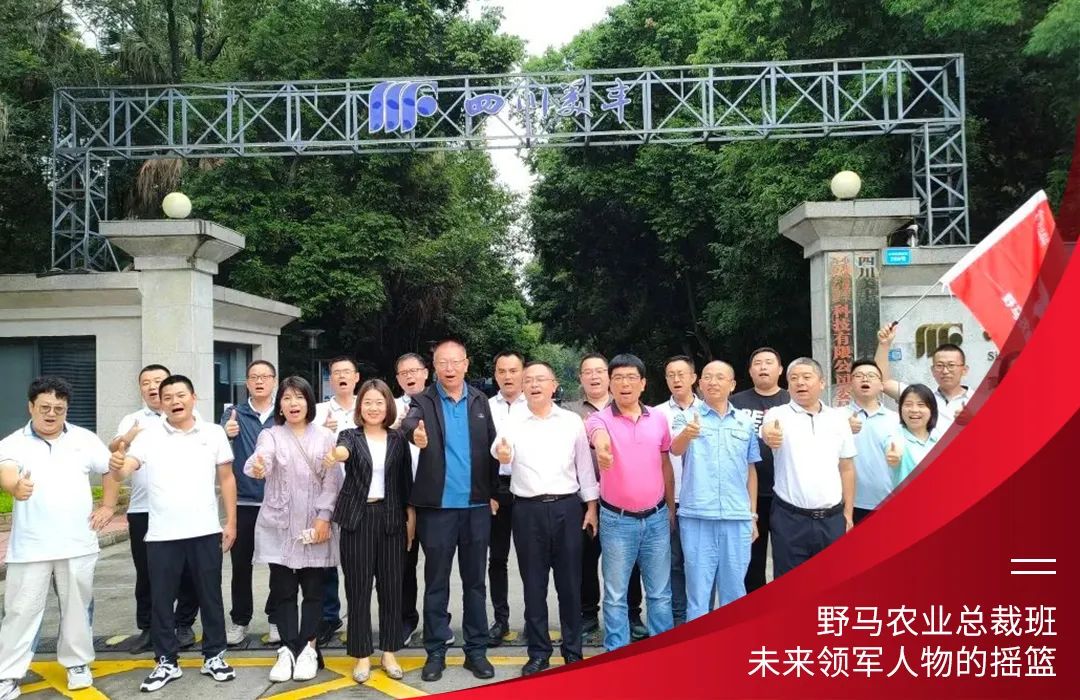 九要遇见你 | 春沣野马总裁班九期招生启动