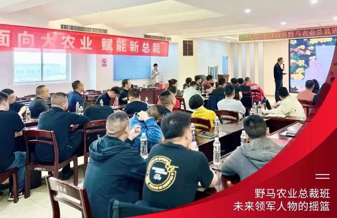 九要遇见你 | 春沣野马总裁班九期招生启动