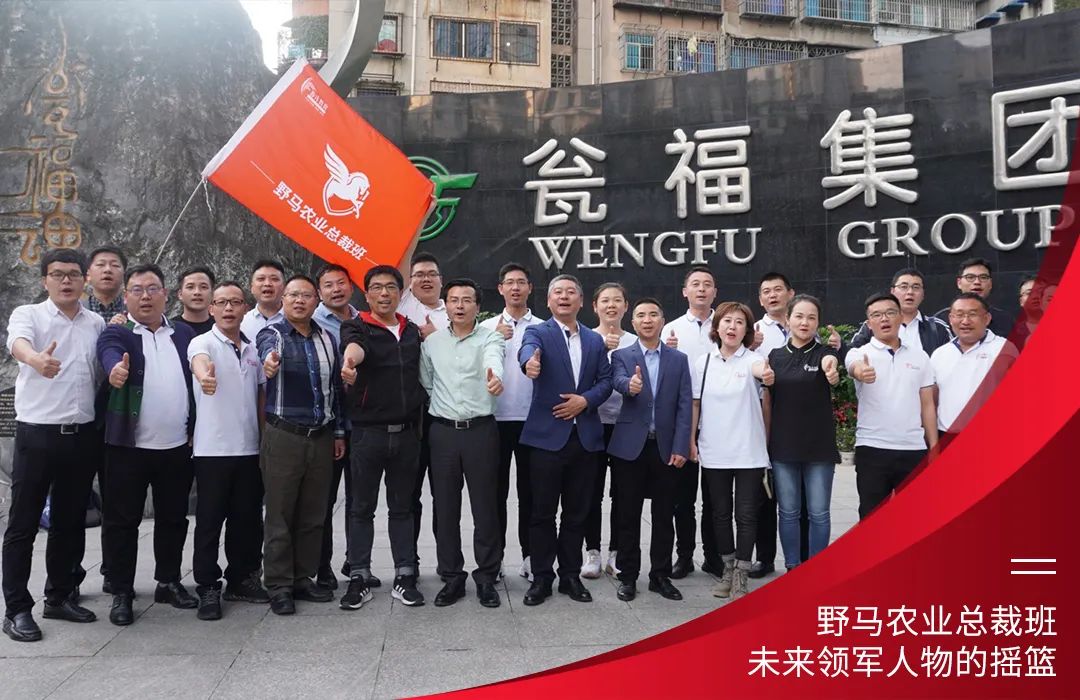 九要遇见你 | 春沣野马总裁班九期招生启动