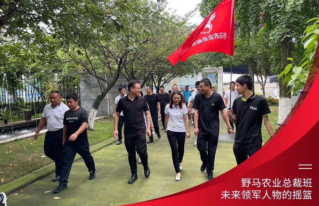 九要遇见你 | 春沣野马总裁班九期招生启动