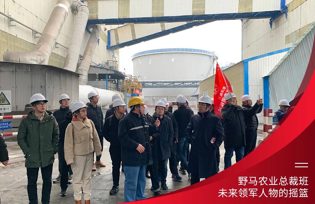 九要遇见你 | 春沣野马总裁班九期招生启动