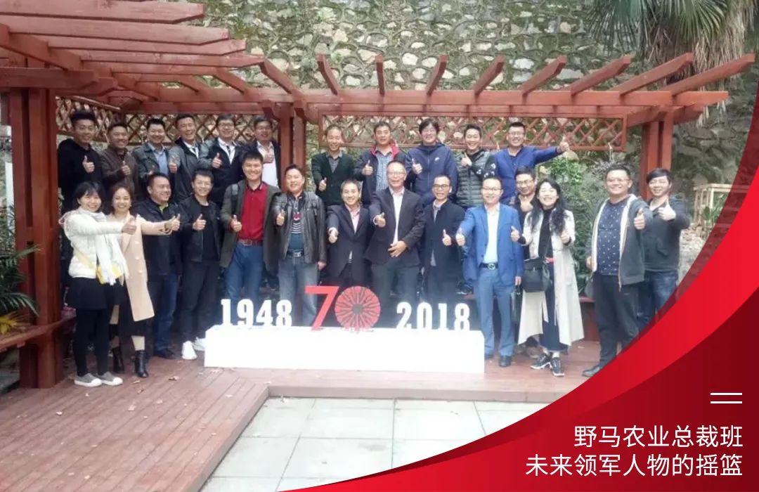 九要遇见你 | 春沣野马总裁班九期招生启动