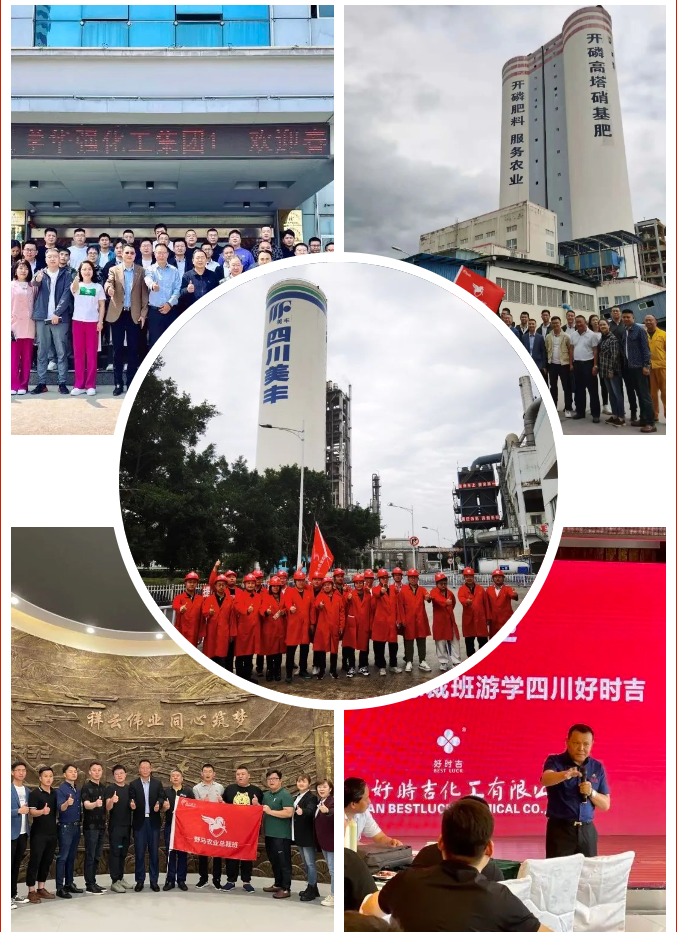 九要遇见你 | 春沣野马总裁班九期招生启动