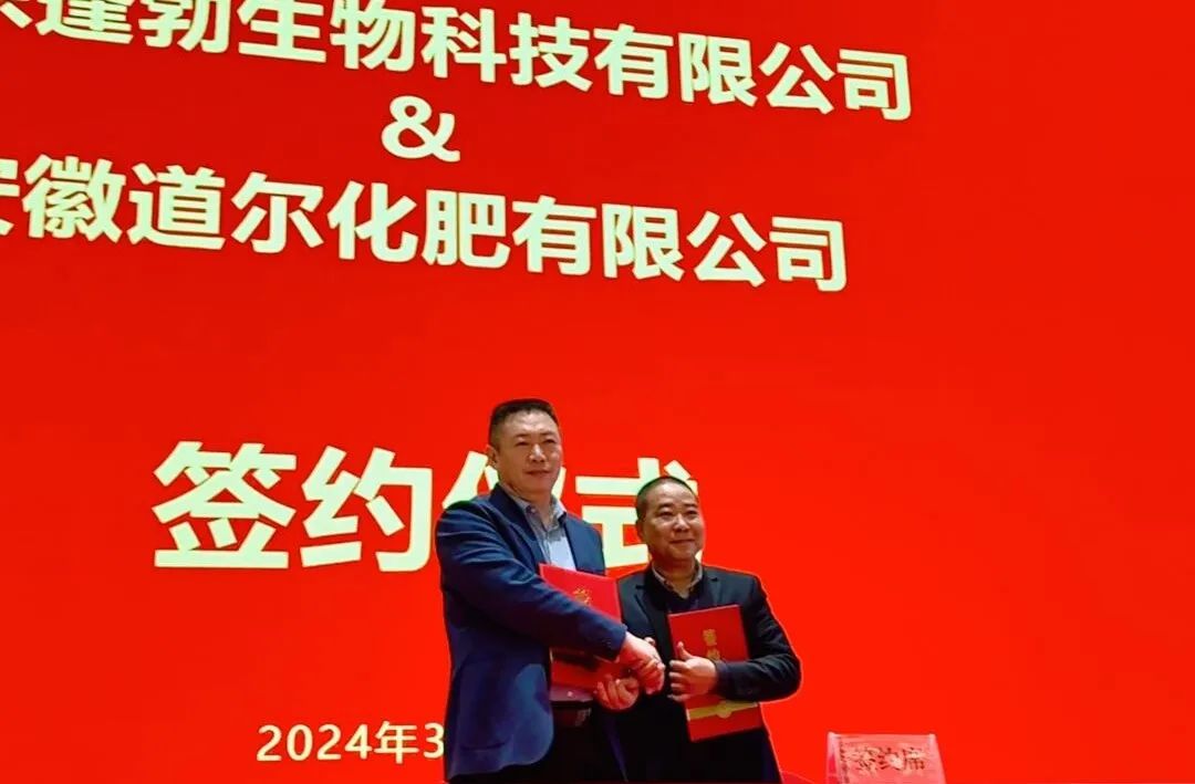 成功跨界｜惠多利安徽道尔高塔竣工投产！