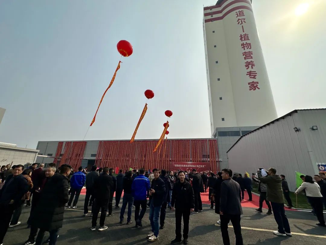 成功跨界｜惠多利安徽道尔高塔竣工投产！