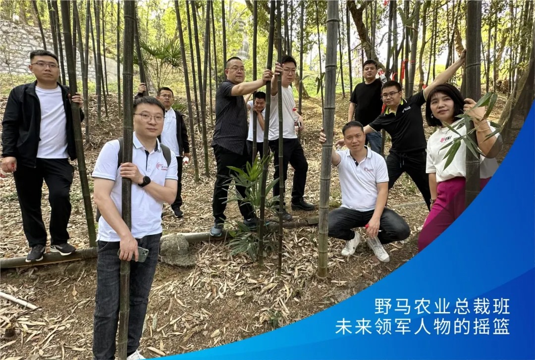 hi“尔滨”！春沣野马探秘东三省黑马农企逆袭之路