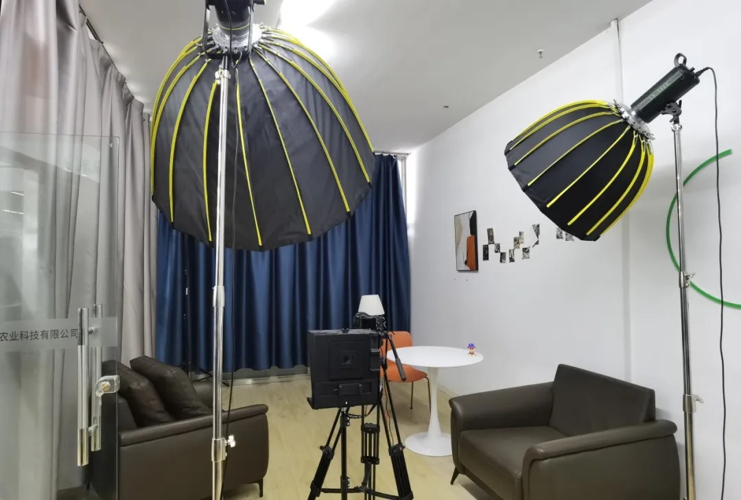 云上赋能 | 野马总裁班六七八期学员游学一朵农业经