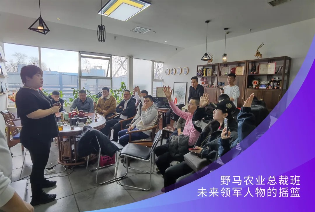 相约莫言故里 | 春沣野马农业总裁班游学南洋鸿基