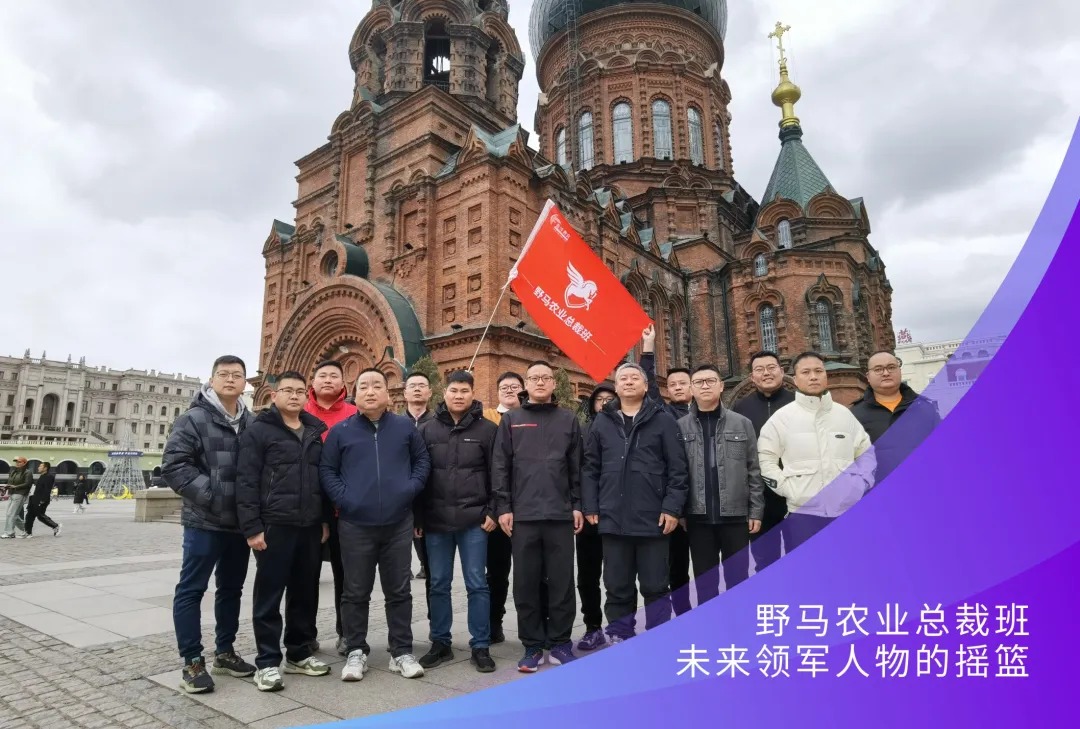 相约莫言故里 | 春沣野马农业总裁班游学南洋鸿基