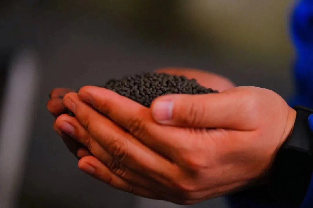 相约莫言故里 | 春沣野马农业总裁班游学南洋鸿基