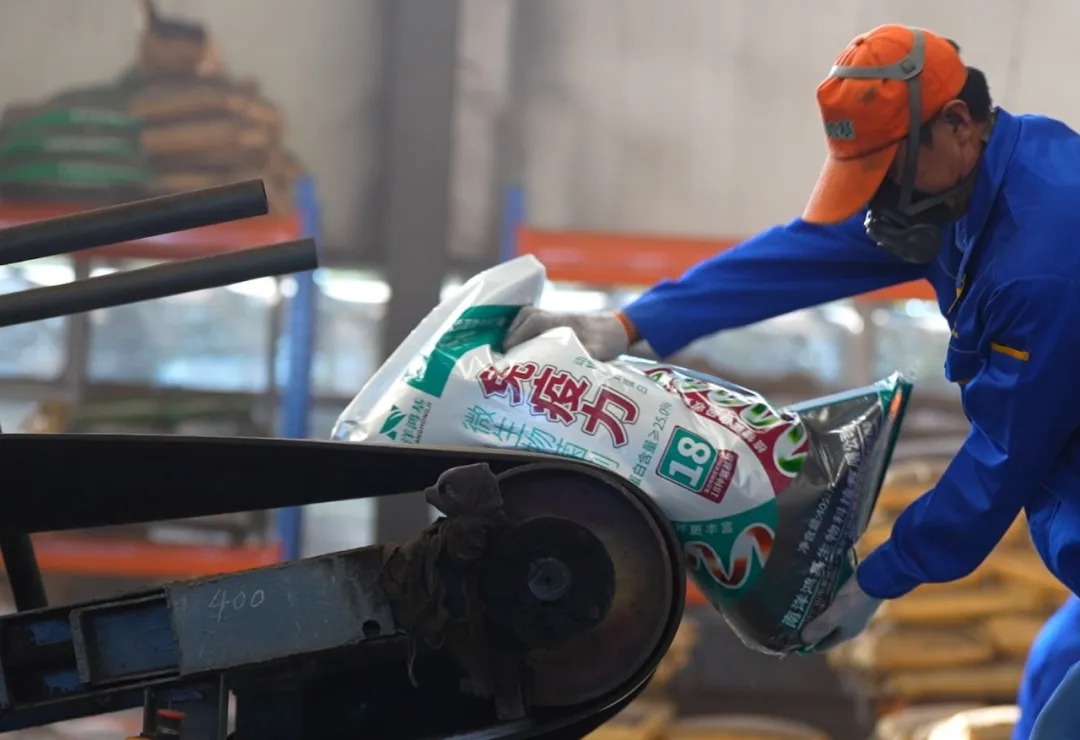 相约莫言故里 | 春沣野马农业总裁班游学南洋鸿基