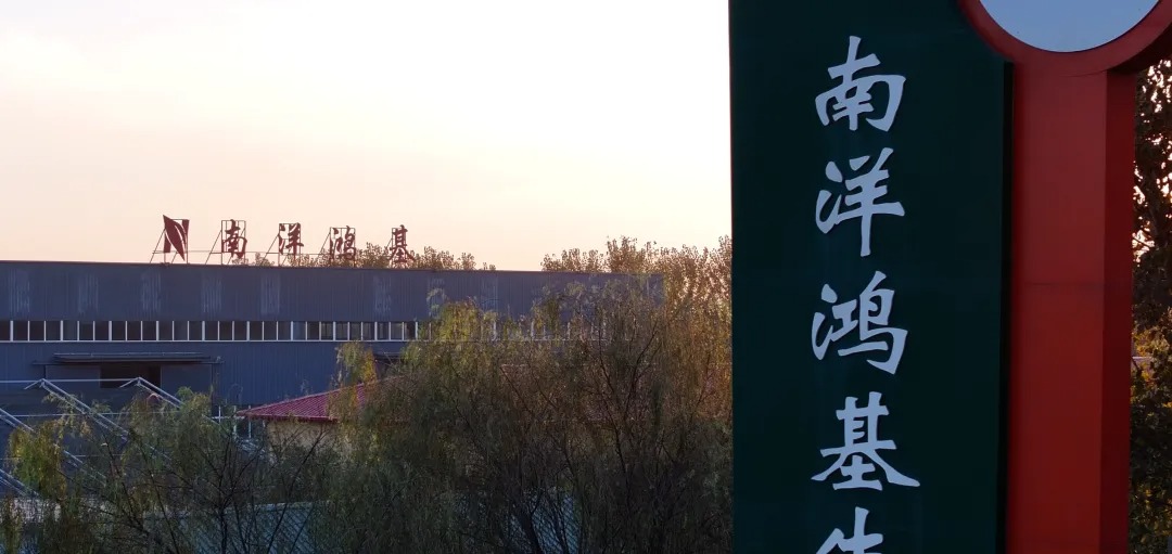 相约莫言故里 | 春沣野马农业总裁班游学南洋鸿基